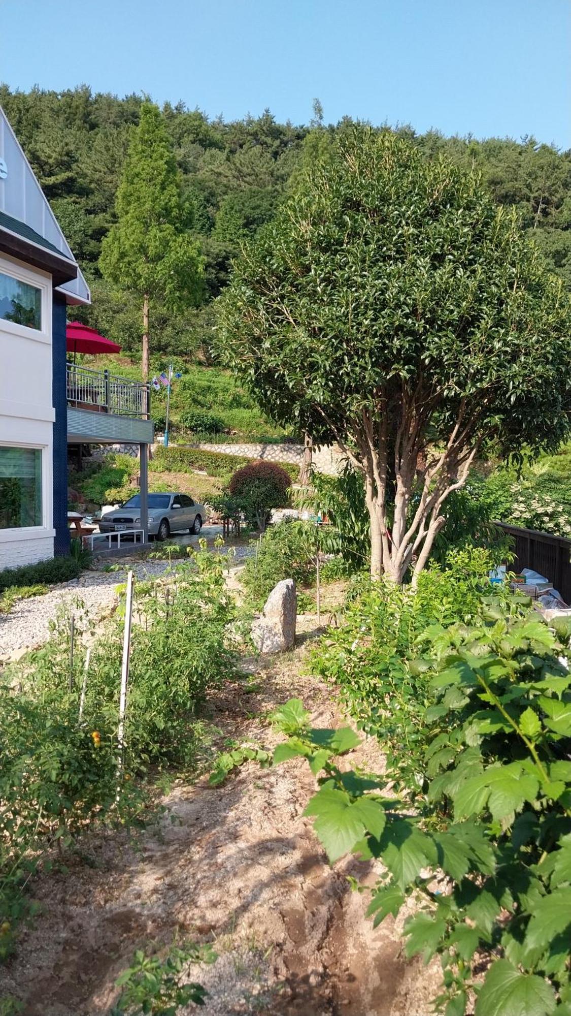 White House Hotel Namhae Eksteriør billede