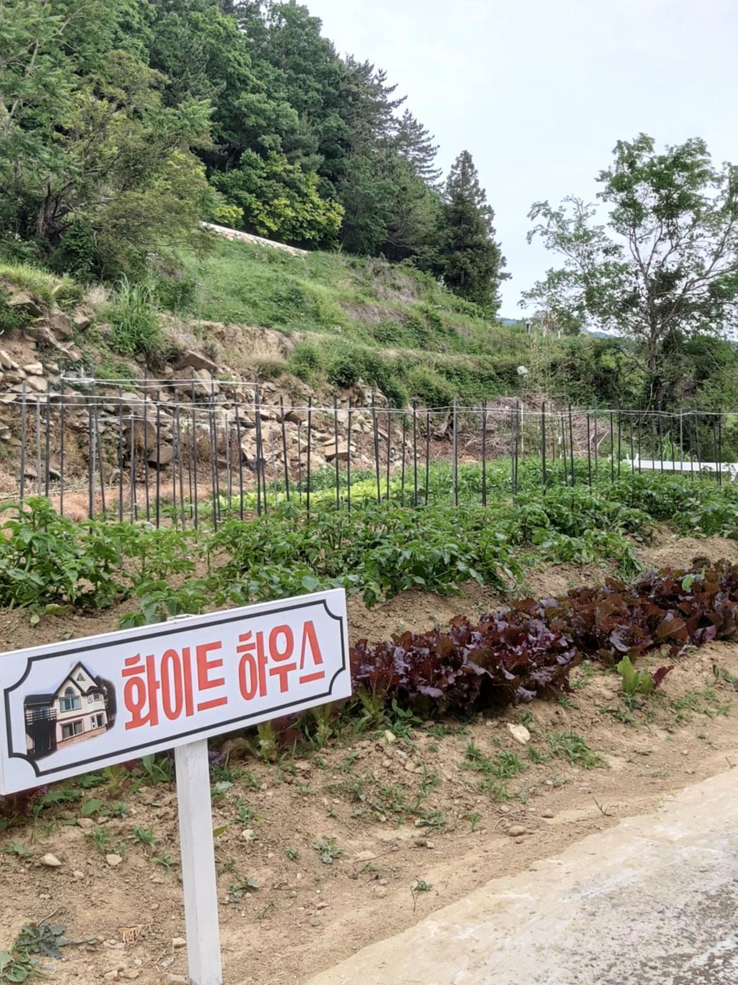 White House Hotel Namhae Eksteriør billede