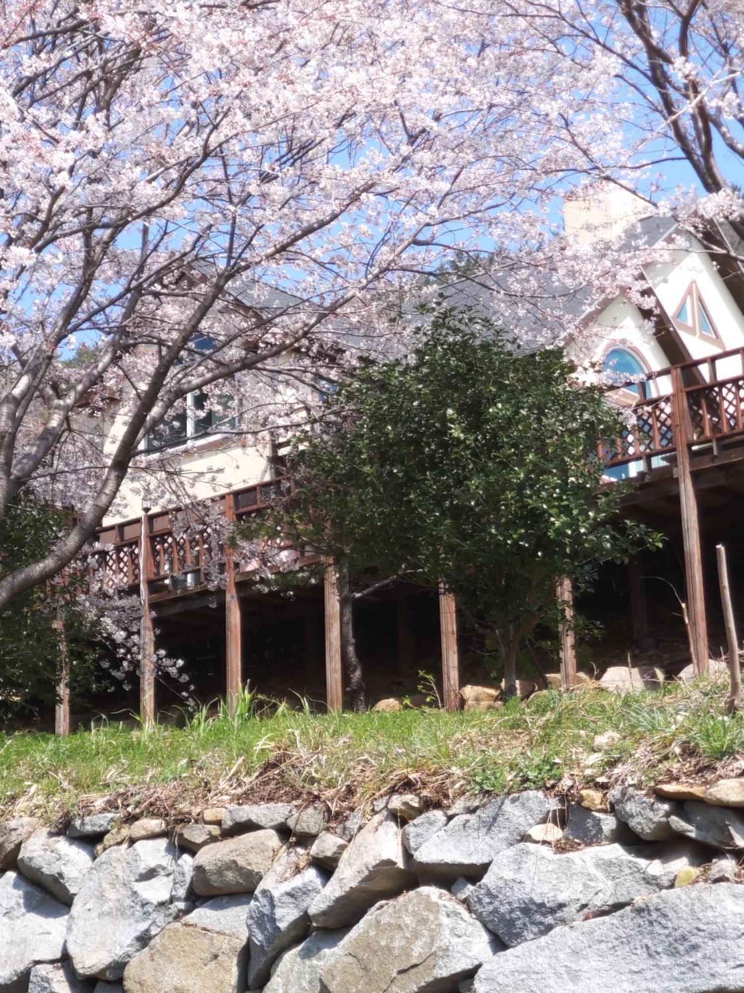 White House Hotel Namhae Eksteriør billede